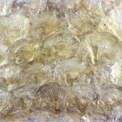 Shell mosaic for decoration  KSL-MOP041